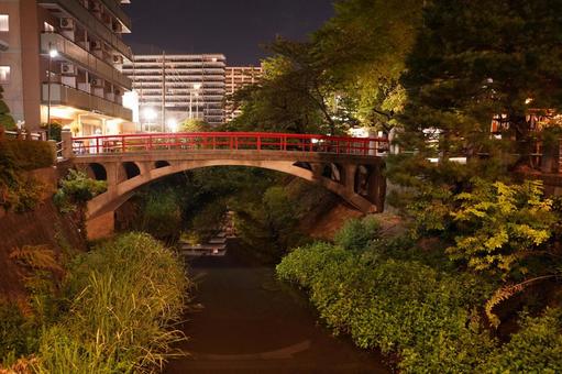 深夜の松戸神社の潜龍橋と坂川 神社仏閣,神社,坂川の写真素材