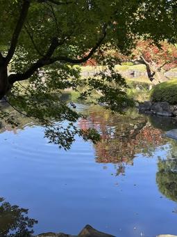 旧古河庭園 旧古河庭園の写真