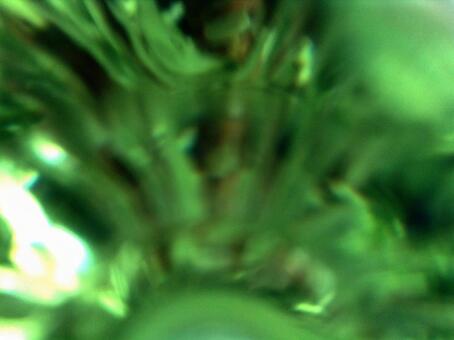 模様9 模様9の写真