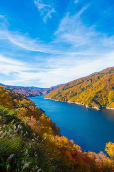 紅葉風景 紅葉風景の写真