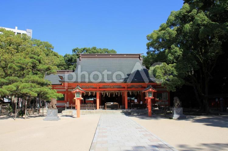 福岡市の住吉神社本殿 住吉神社,福岡市,博多区の写真素材