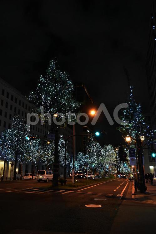 2024御堂筋イルミネーション 御堂筋,イルミネーション,夜景の写真素材