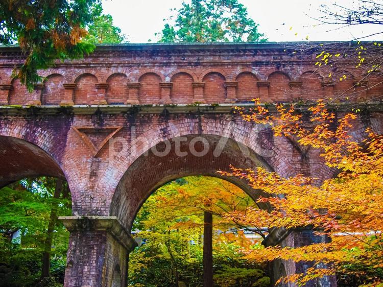 京都・南禅寺境内　水路閣と紅葉 南禅寺,水路閣,紅葉の写真素材