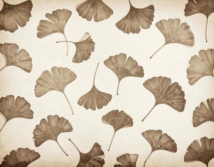 モノクロのイチョウの葉のシンプル背景の写真