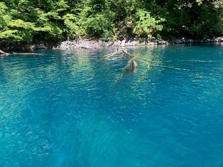夏の十和田湖 夏の十和田湖の写真