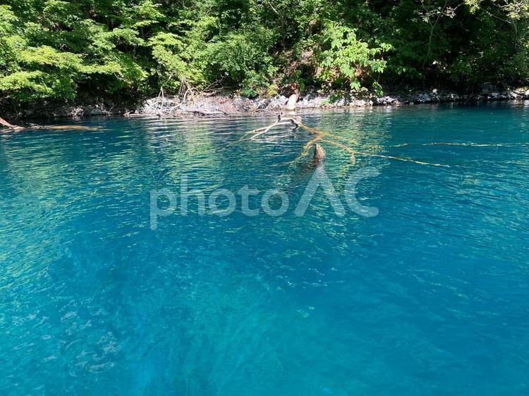夏の十和田湖 ノスタルジック,十和田湖,夏の写真素材