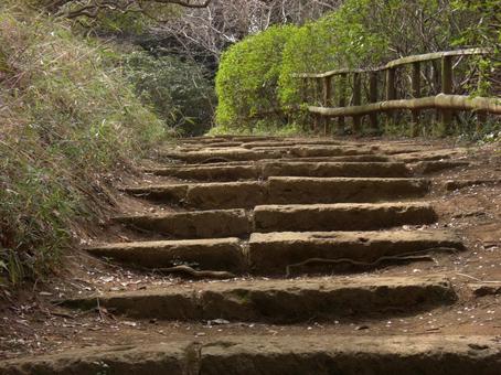 清水公園の風景-7 清水公園の風景-7の写真