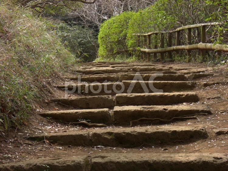 清水公園の風景-7 清水公園,千葉県野田市,公園の写真素材