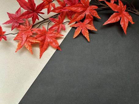 紅葉の背景 2 もみじ,紅葉,秋の写真素材