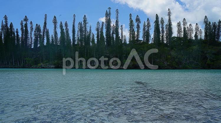 ニューカレドニア295ピッシングナチュレ ニューカレドニア,イルデパン島,ルメリディアンイルデパンの写真素材