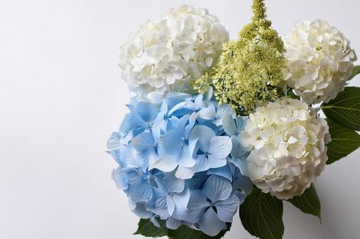 水色と白のあじさい花束の写真