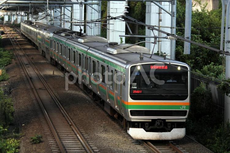 湘南新宿ラインを走行中 鉄道,e231系,湘南新宿ラインの写真素材