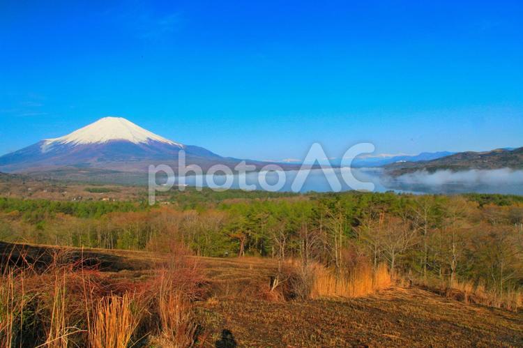 早朝の富士山と山中湖の雲海 富士山,山中湖,雲海の写真素材