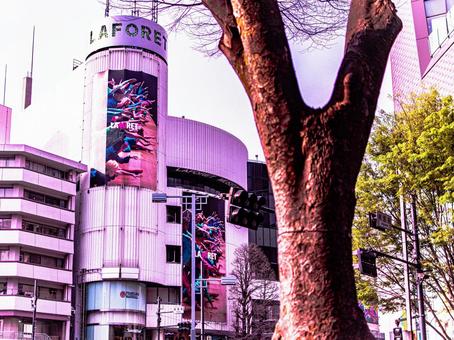The intersection of Laforet Harajuku and roadside trees, JPG The intersection of Laforet Harajuku and roadside trees, JPG