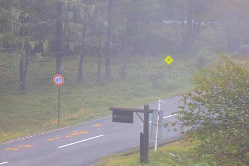 霧の道路 霧の道路の写真
