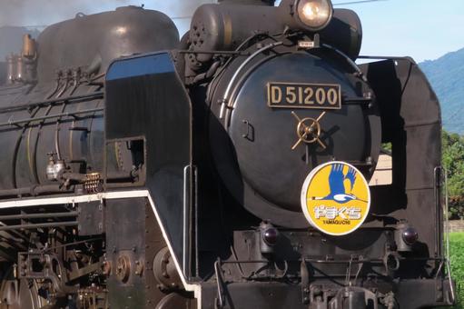 SLやまぐち号 D51 SLやまぐち号 D51 sl,d51,やまぐち号の写真素材