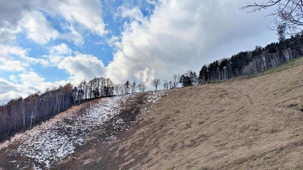 藻岩山 トレラン,林,登山の写真素材
