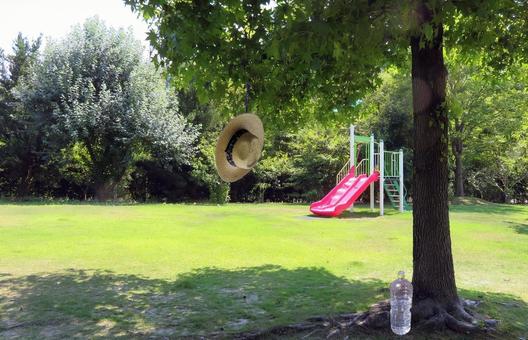 夏イメージ素材/遊園地・熱中症対策 夏イメージ素材/遊園地・熱中症対策の写真