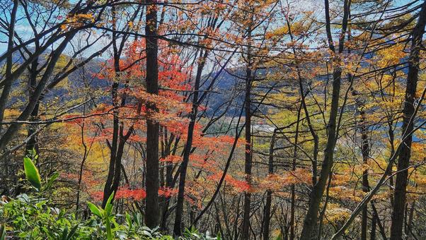 榛名山の紅葉 紅葉,アウトドア,登山の写真素材