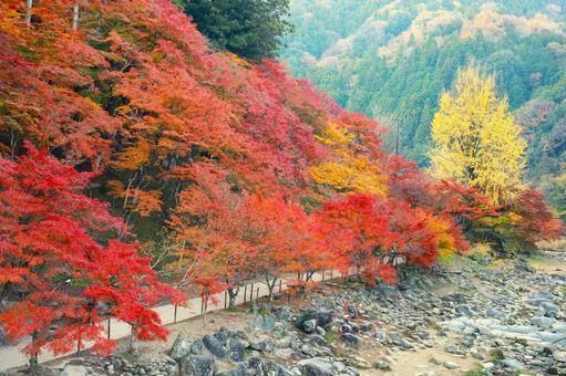 秋の山々 秋の山々の写真