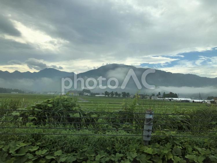 山と田んぼの風景 山,田んぼ,稲の写真素材