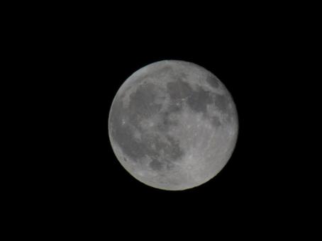 満月 月,満月,スーパームーンの写真素材