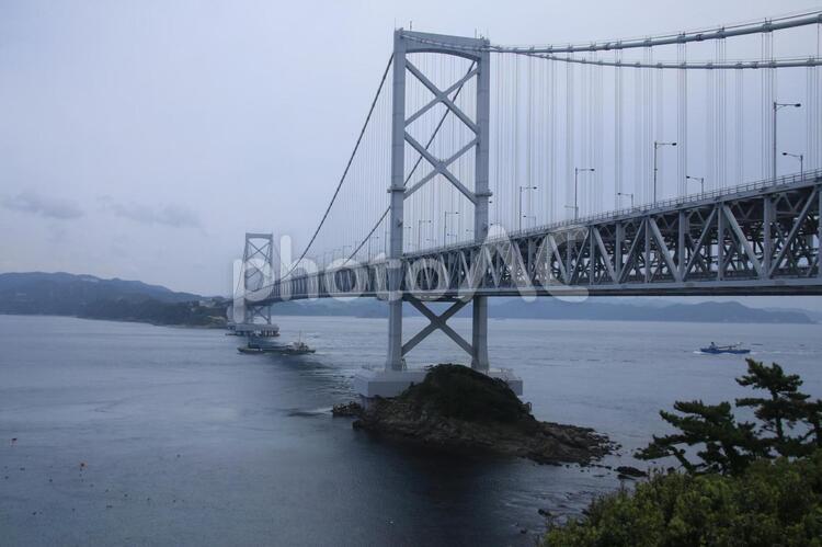 千畳敷展望台からの鳴門海峡大橋 千畳敷展望台,鳴門海峡大橋,鳴門海峡の写真素材