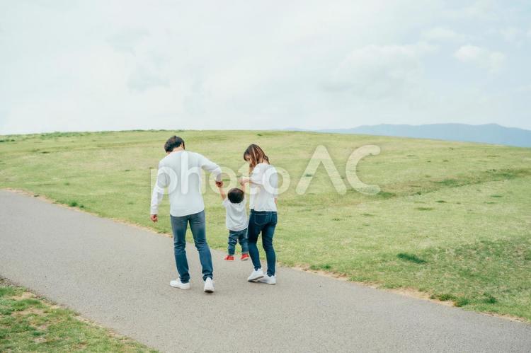 手を繋いで歩く家族（後ろ姿） 家族,夫婦,赤ちゃんの写真素材