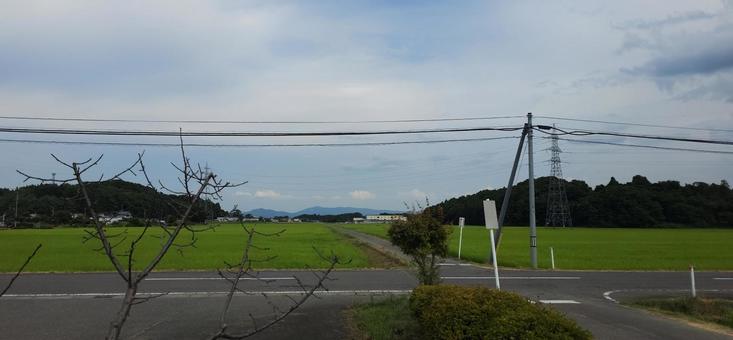 福島県須賀川市 田園風景 福島県須賀川市 田園風景 福島県,須賀川,田園の写真素材
