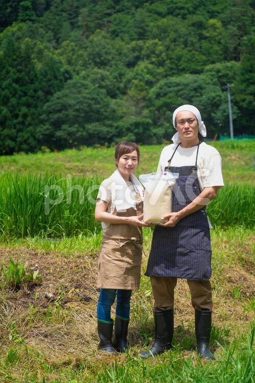 お米と農家 農家,お米,農業の写真素材