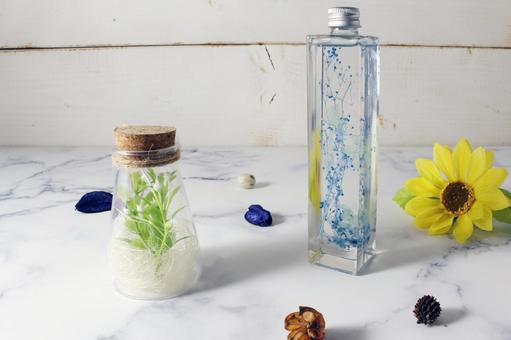 瓶詰めの植物と花 瓶詰め,植物,花の写真素材