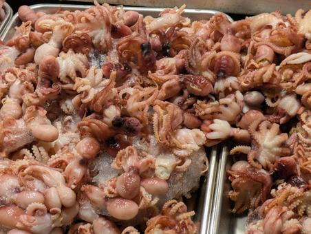 タコ タコ,屋台,魚介類の写真素材