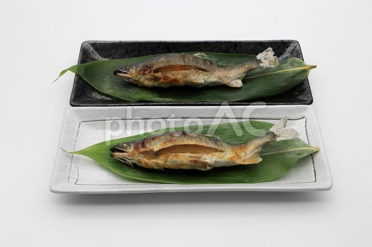 子持ち鮎の塩焼き2尾（山形県白鷹町産） 鮎,アユ,子持ち鮎の写真素材
