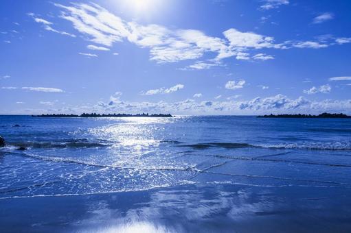 青い海22(田原市) 青い海22(田原市)の写真