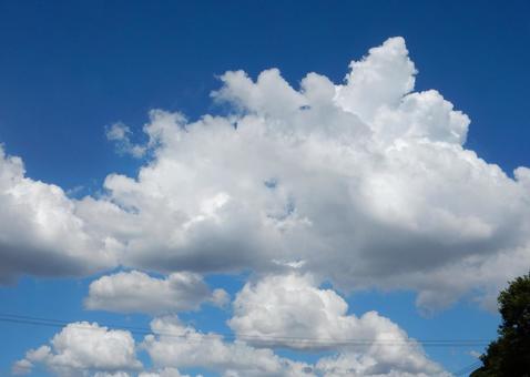 【風景写真】夏空の写真