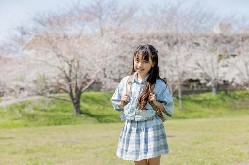 桜 小学生 桜 小学生 小学生,桜,女性の写真素材