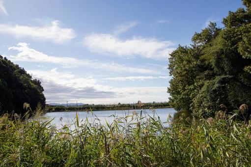 赤塚山公園 宮池 赤塚山公園 宮池の写真