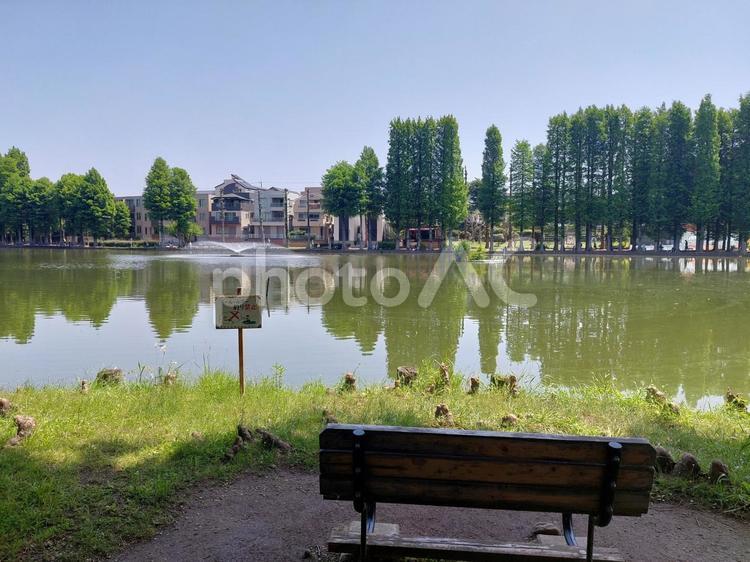 晴れた日の公園の噴水とベンチ ベンチ,腰掛け,椅子の写真素材