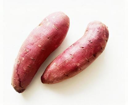 さつまいも 2本 素材画像 1 さつまいも 2本 素材画像 1 さつまいも,秋,芋の写真素材