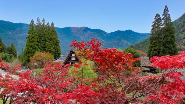 下呂温泉　合掌村と紅葉 下呂温泉,合掌村,岐阜県の写真素材