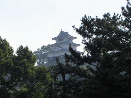 丸亀城 天守 丸亀城 天守の写真