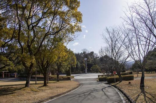 新城総合公園 新城総合公園,新城市,新城の写真素材