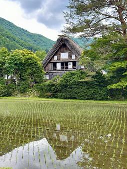 白川郷 白川郷 白川郷,岐阜県,合掌造りの写真素材