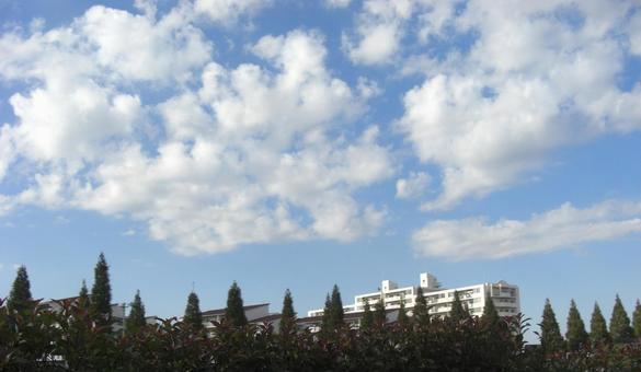 Photo, november, blue sky, sky, 