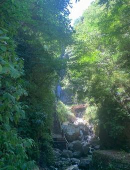 洒水の滝 洒水の滝の写真