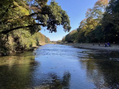 嵐山渓谷の水辺風景（秋） 嵐山渓谷,嵐山,渓谷の写真素材