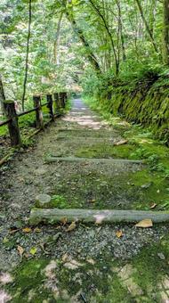 岩手県 不動の滝 散策路 岩手県 不動の滝 散策路の写真