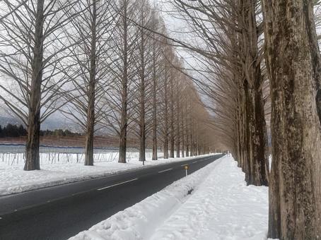 ふゆ景色 ふゆ景色の写真