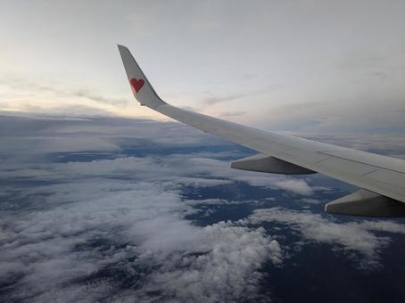 Photo, skymark, twilight sky, wing, 