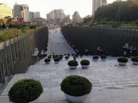 韓国 韓国の写真